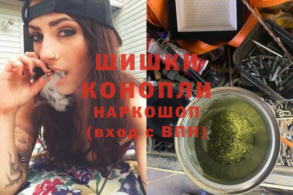 прущие грибы Белоозёрский