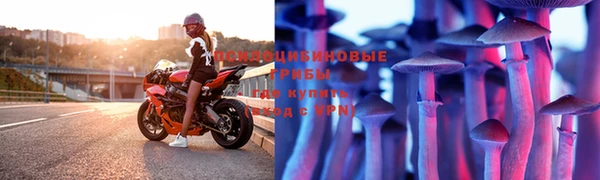 mdpv Дмитровск