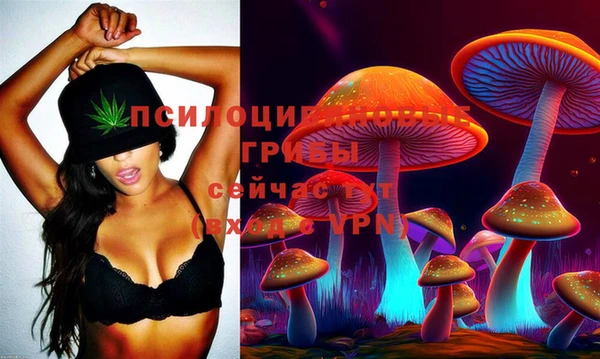 ПСИЛОЦИБИНОВЫЕ ГРИБЫ Алексеевка
