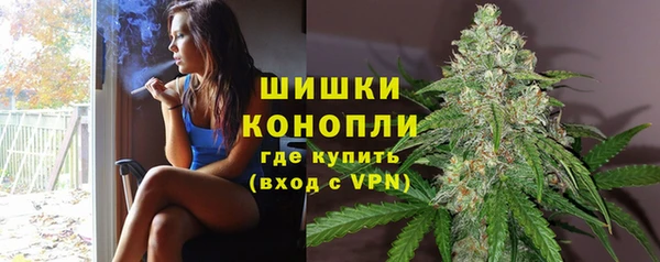 apvp Белокуриха