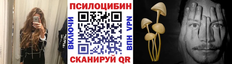 Купить  Старая Русса  Галлюциногенные грибы GOLDEN TEACHER 